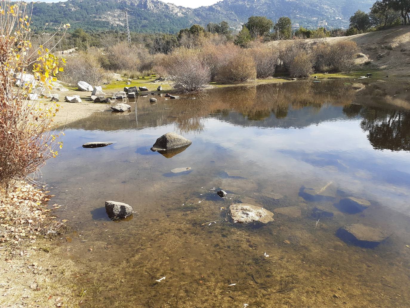 La Laguna del Gato (Moralzaral), es una masa de agua de poca profundidad y de carácter estacional, producto de la restauración de la zona tras la extracción de granito.