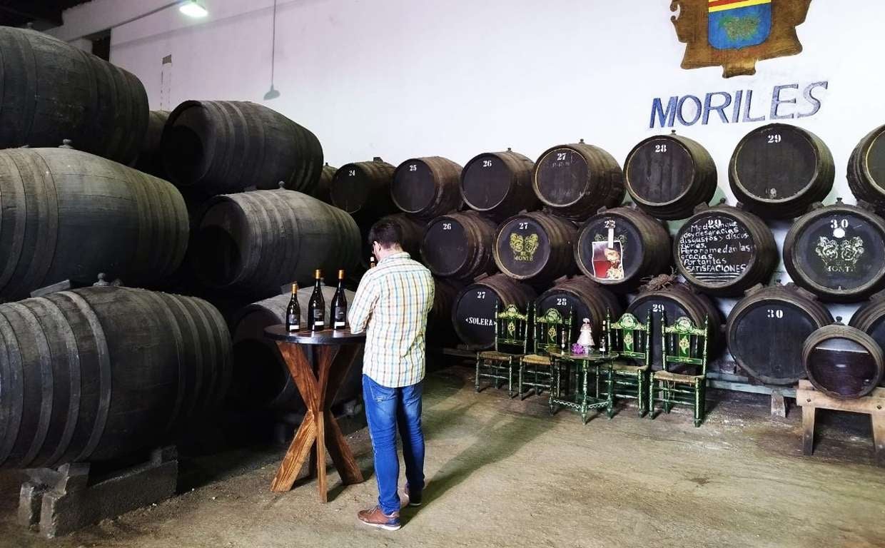 Un visitante en las instalaciones de Bodegas El Monte abiertas al público en la Cata del Vino de Moriles