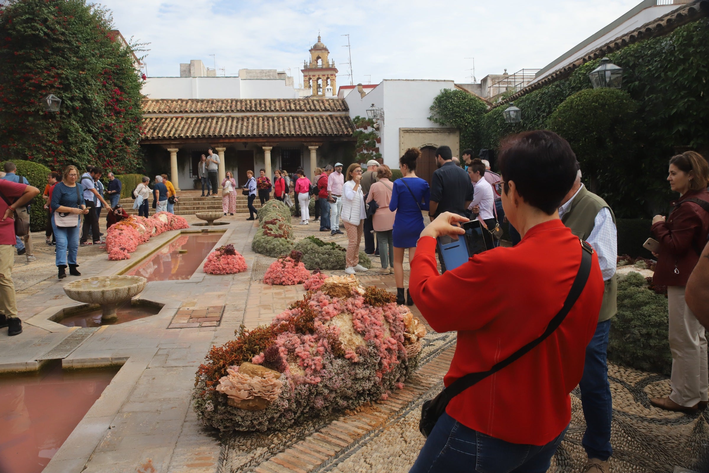 El sábado de Flora de Córdoba, en imágenes