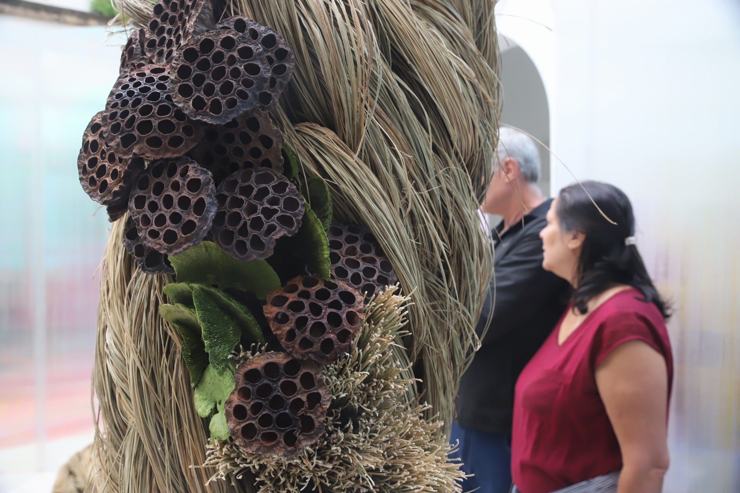 El sábado de Flora de Córdoba, en imágenes