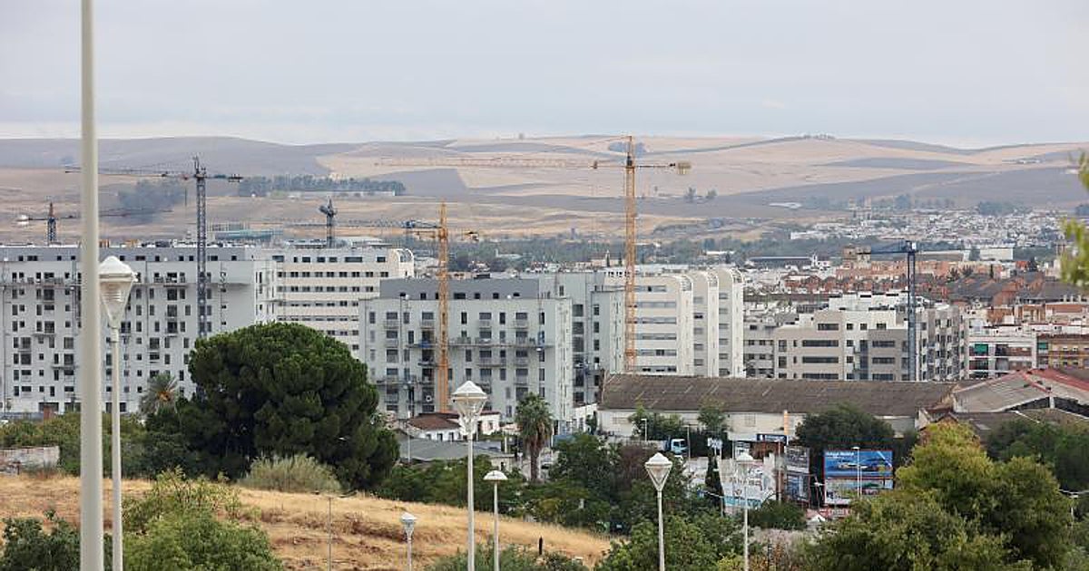 El milagro de las viviendas y los peces