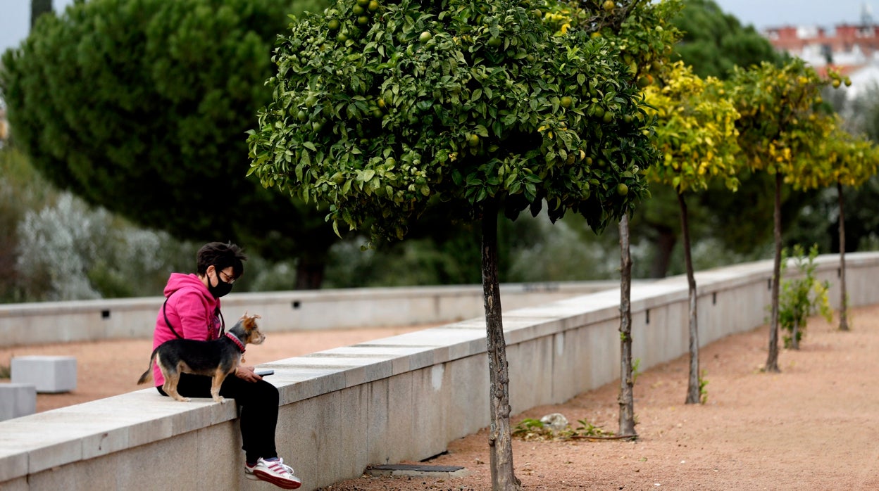 El tiempo en Córdoba | Adiós a la lluvia mientras la temperatura repunta este martes 25