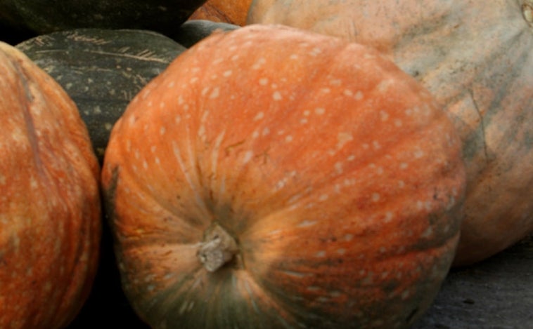 El superalimento valenciano de Halloween que adelgaza y protege de la gripe