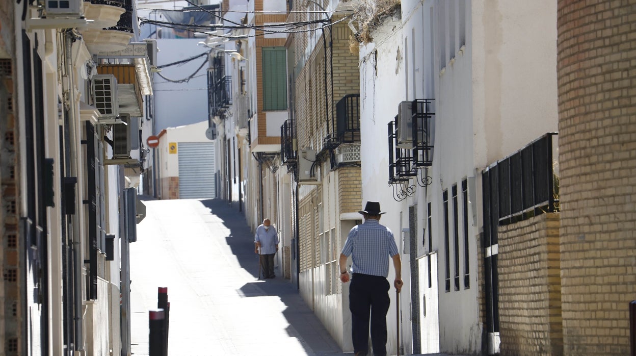 Salud detecta en Montalbán el primer caso de Virus del Nilo en Córdoba