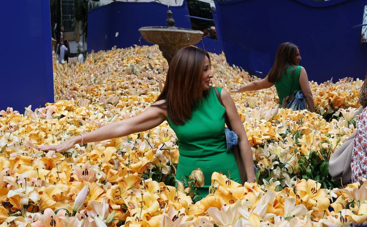 Una mujer visita la instalación de la Diputación Provincial
