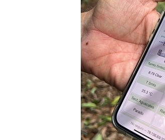 Imagen secundaria 2 - 1. Aguacates recogidos en la finca Sarmiento // 2. David explica otro de los sensores que se colocan en los árboles // 3. Aplicación en el móvil por la que se ajusta el riego y se revisan los parámetros.