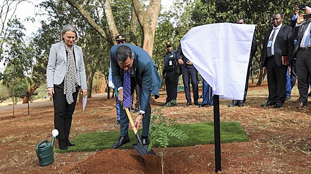 El presidente del Gobierno planta un árbol en los jardines de la sede de Naciones Unidas