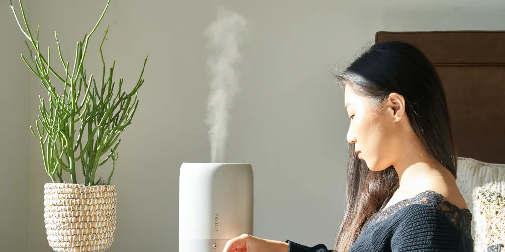 Humidificadores de aire: consejos, contraindicaciones y ventajas