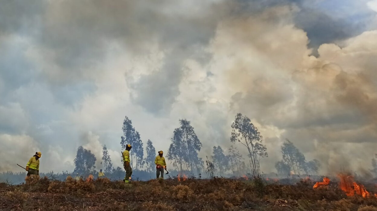Incendio en Córdoba | El Infoca extingue un fuego próximo a la N-432