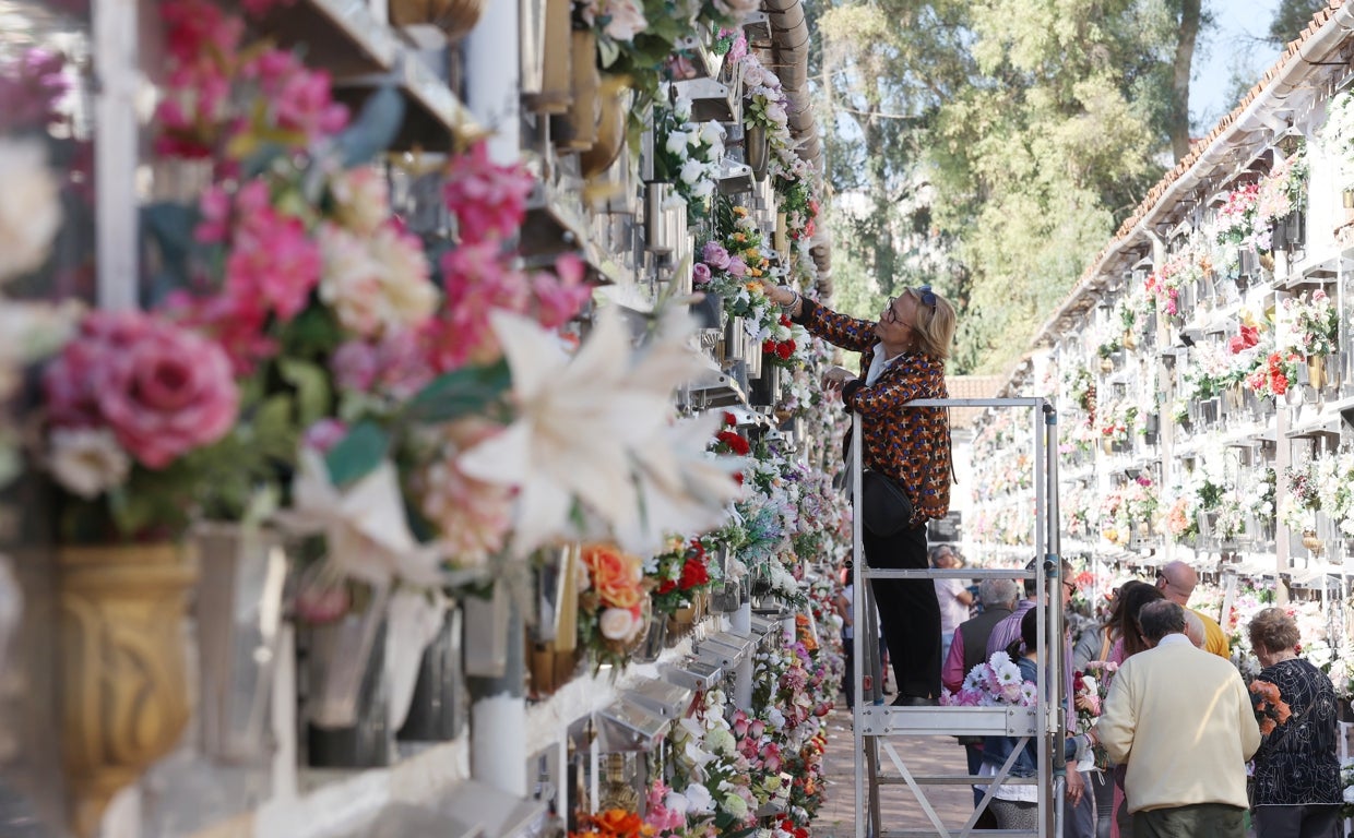 El día en que los cementerios de Córdoba vuelven a llamarse camposantos