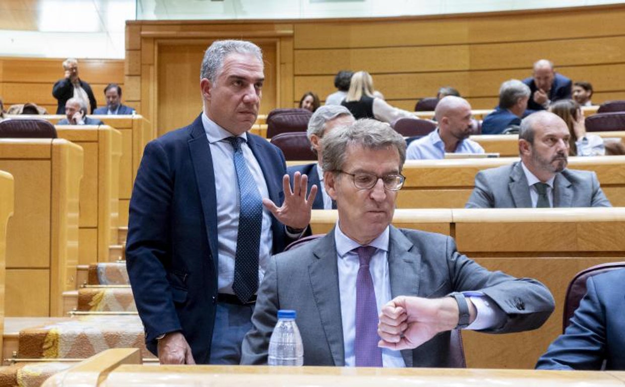 El presidente del PP, Alberto Núñez Feijóo, en una sesión de control al Gobierno en el Senado