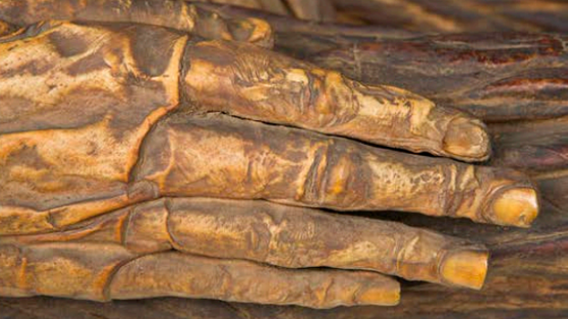 Detalle de la momia guanche de Madrid