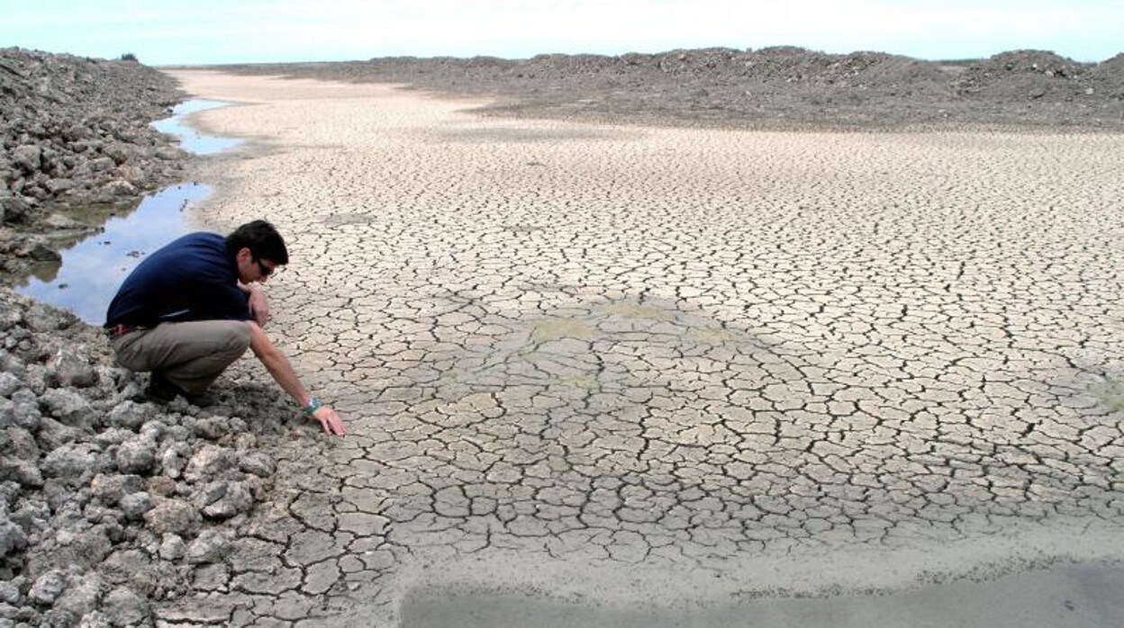 La sequía en Andalucía se agrava: «Ya han saltado todas las alarmas»