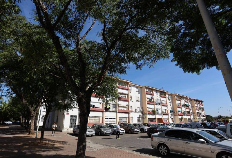 Bloques de viviendas típicos del barrio de Santuario y San José Obrero, con bajo más tres plantas