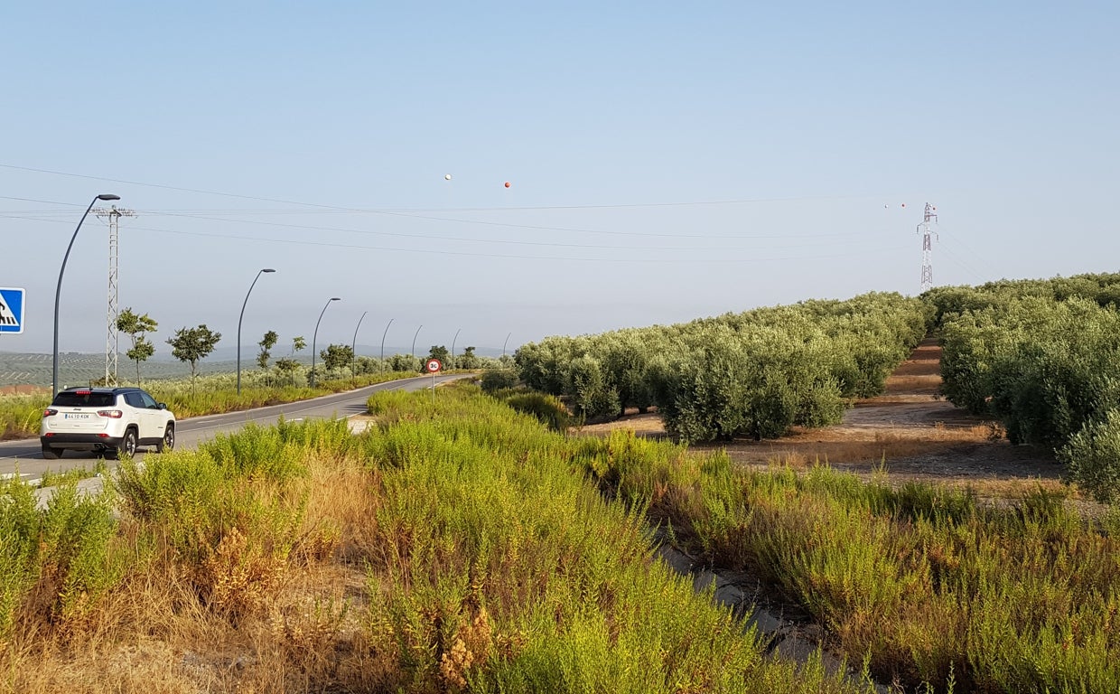 Malestar en Lucena por el olvido en las cuentas de la Junta de los proyectos sanitarios pendientes