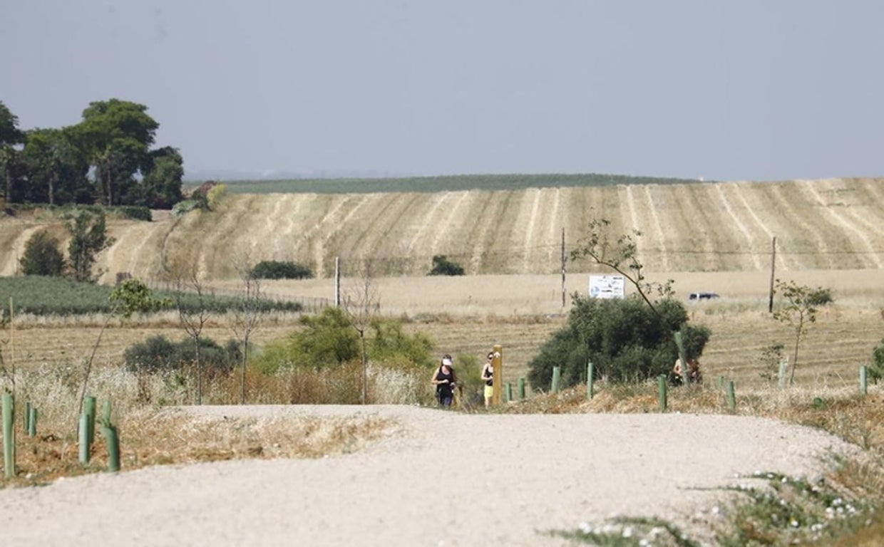 Dos personas caminan por el cinturón verde