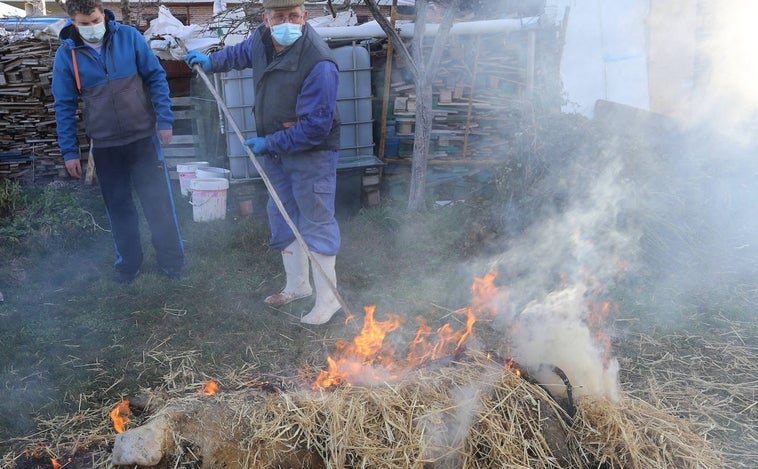 Las matanzas domiciliarias entran en la 'lista roja' de las tradiciones