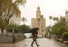 Aemet alerta de las ciudades de Andalucía donde más lloverá este miércoles