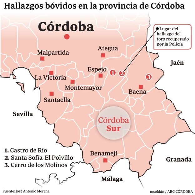 Zona donde han aparecido esculturas íberas en Córdoba