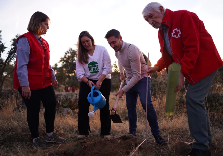 Voluntarios plantan 500 especies de alto valor ecológico en la finca 'El Borril', en Polán