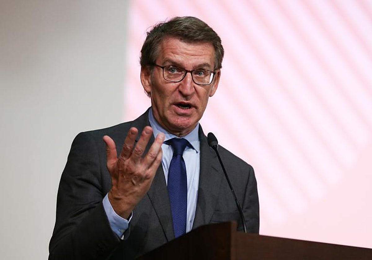 Alberto Núñez Feijóo, presidente del PP