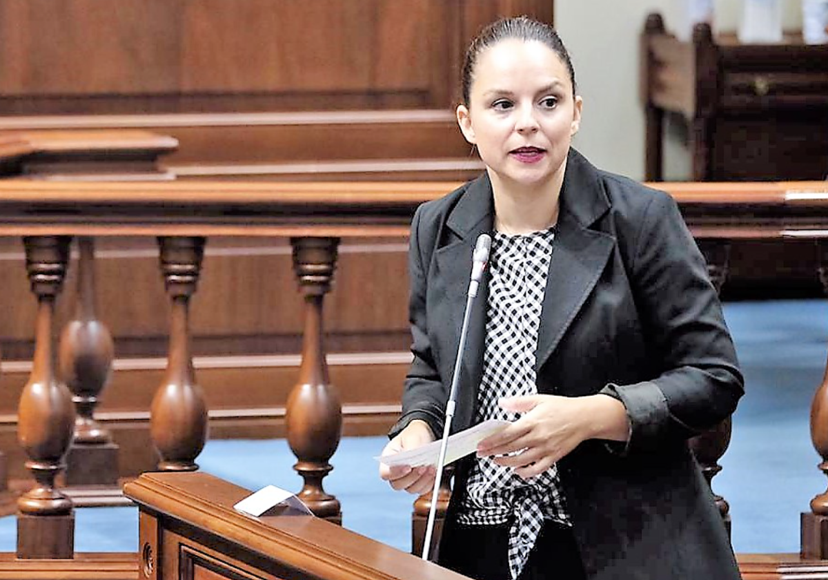 La consejera Noemí Santana durante una intervención en foto de archivo