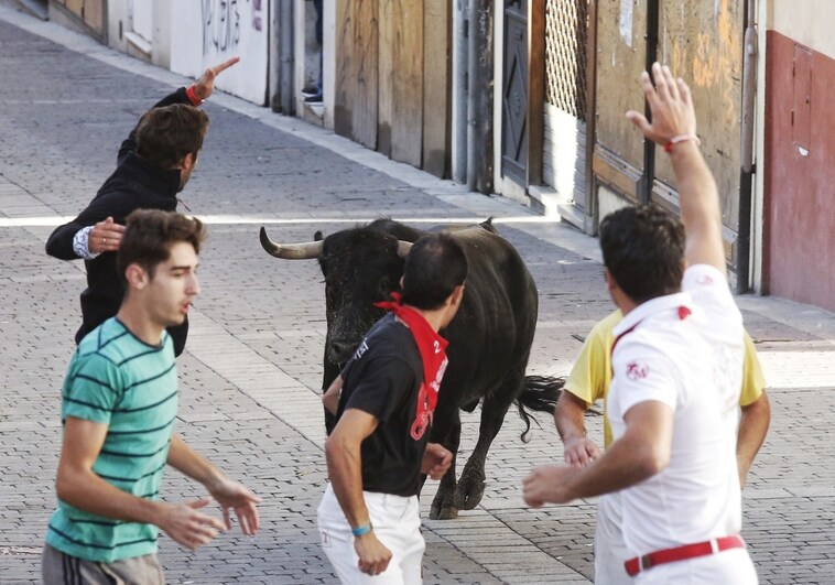 Fallece el vecino de Medina (Valladolid) que permanecía grave tras ser cogido por un toro en Traspinedo