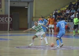 El histórico triunfo del Córdoba Patrimonio ante el Movistar Inter, en imágenes