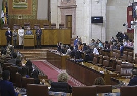 El Parlamento andaluz «alza la voz contra la violencia de género» en medio de la polémica
