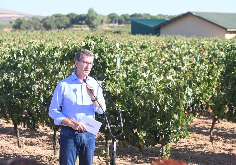 Feijóo, socio de honor de las bodegas de Ribera del Duero