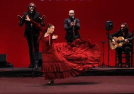 Concurso Nacional de Arte Flamenco de Córdoba | Doce talentos del flamenco, a la espera de cumplir su sueño