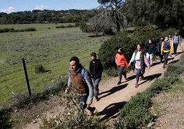 Caminar, hacer deporte y leer son las actividades que más practican los cordobeses en el tiempo libre