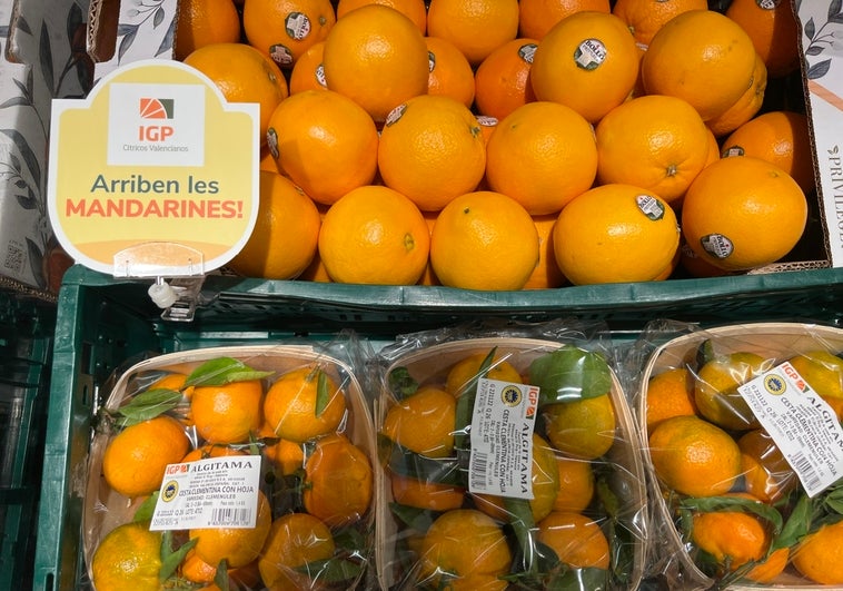 Consum solo venderá naranjas y mandarinas valencianas en sus supermercados