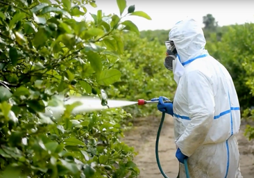 Los niños que consumen alimentos tratados con pesticidas sufren un adelanto temprano de su pubertad