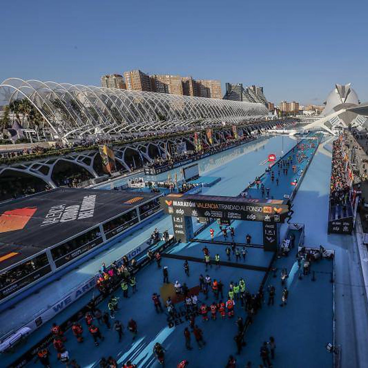 Las grandes cifras del Maratón de Valencia 2022