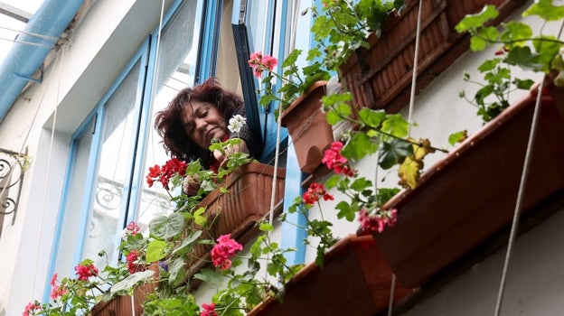 Cuidado de plantas en San Juan de Palomares, 8