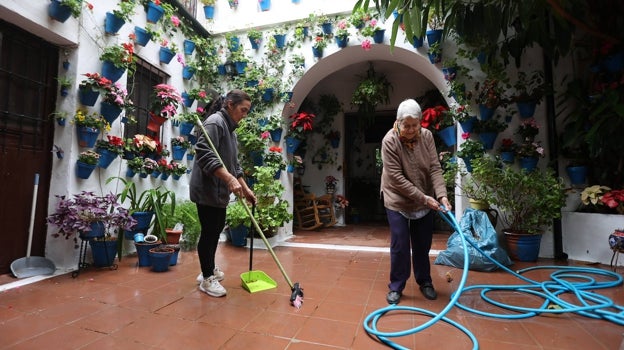 Cuidado del patio de Tinte, 9