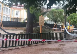 (En video) Los efectos de la borrasca se dejan sentir en Córdoba: ramas caídas o una colisión frontal