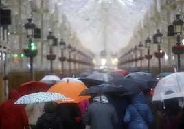Más de 300 incidencias en Andalucía por caídas de árboles y cornisas o desbordamientos