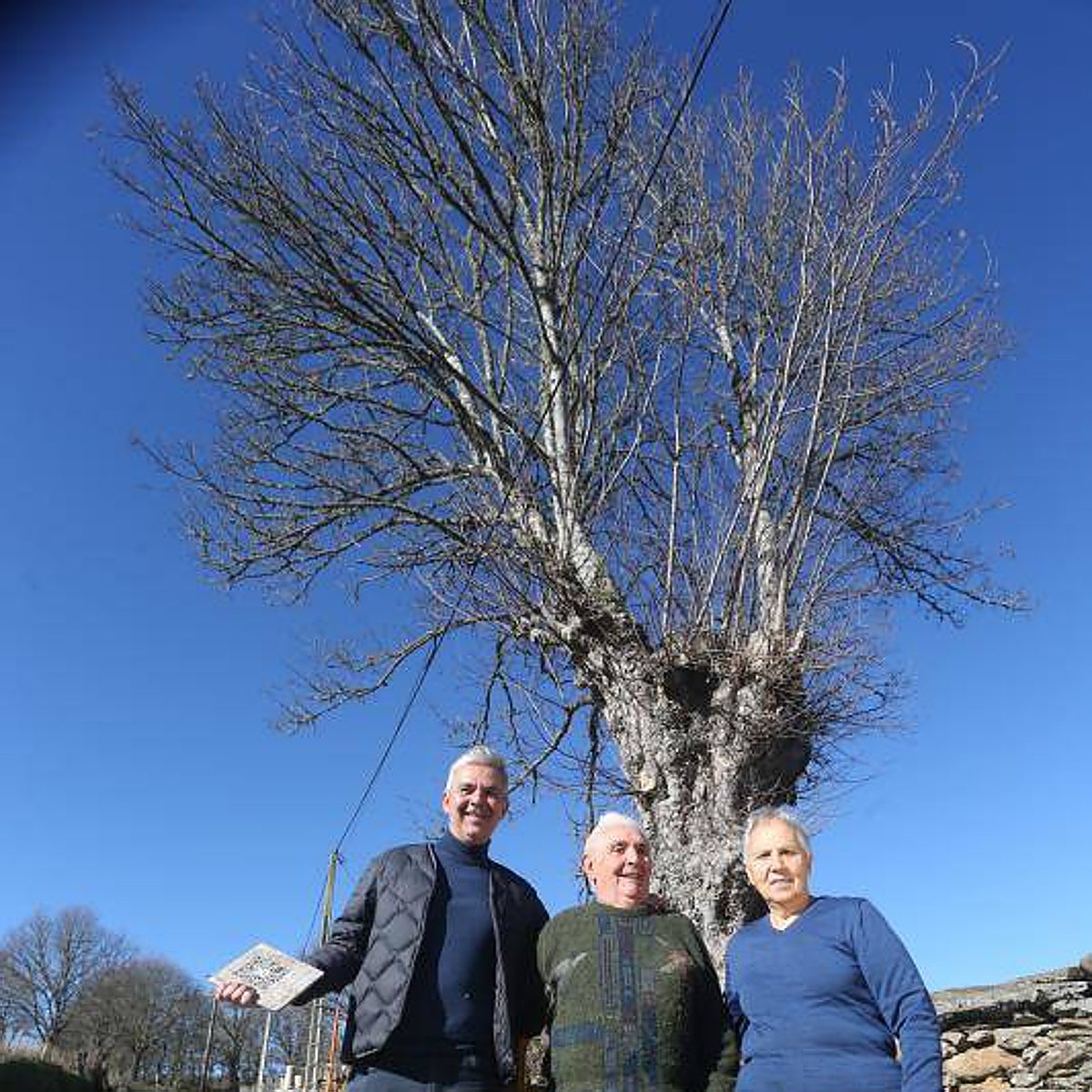 'Bendición' vaticana a la aplicación para enamorarse de las aldeas rurales