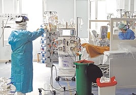 En detalle: así renovará el SAS a los 12.000 sanitarios Covid en Andalucía al menos seis meses más