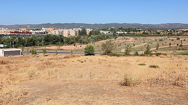 Terrenos del Parque de Levante