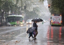 Lluvia en Córdoba | Las precipitaciones seguirán con especial intensidad el miércoles por la tarde