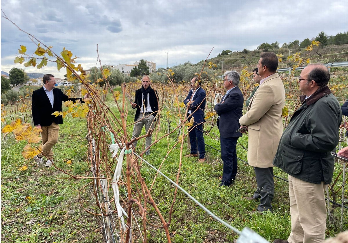 Presentación del proyecto de recuperación de viticiltura en el Valle de Guadalest.