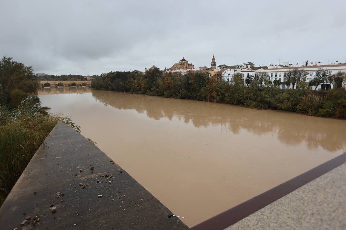 En imágenes, el Guadalquivir recupera el caudal a su paso por Córdoba