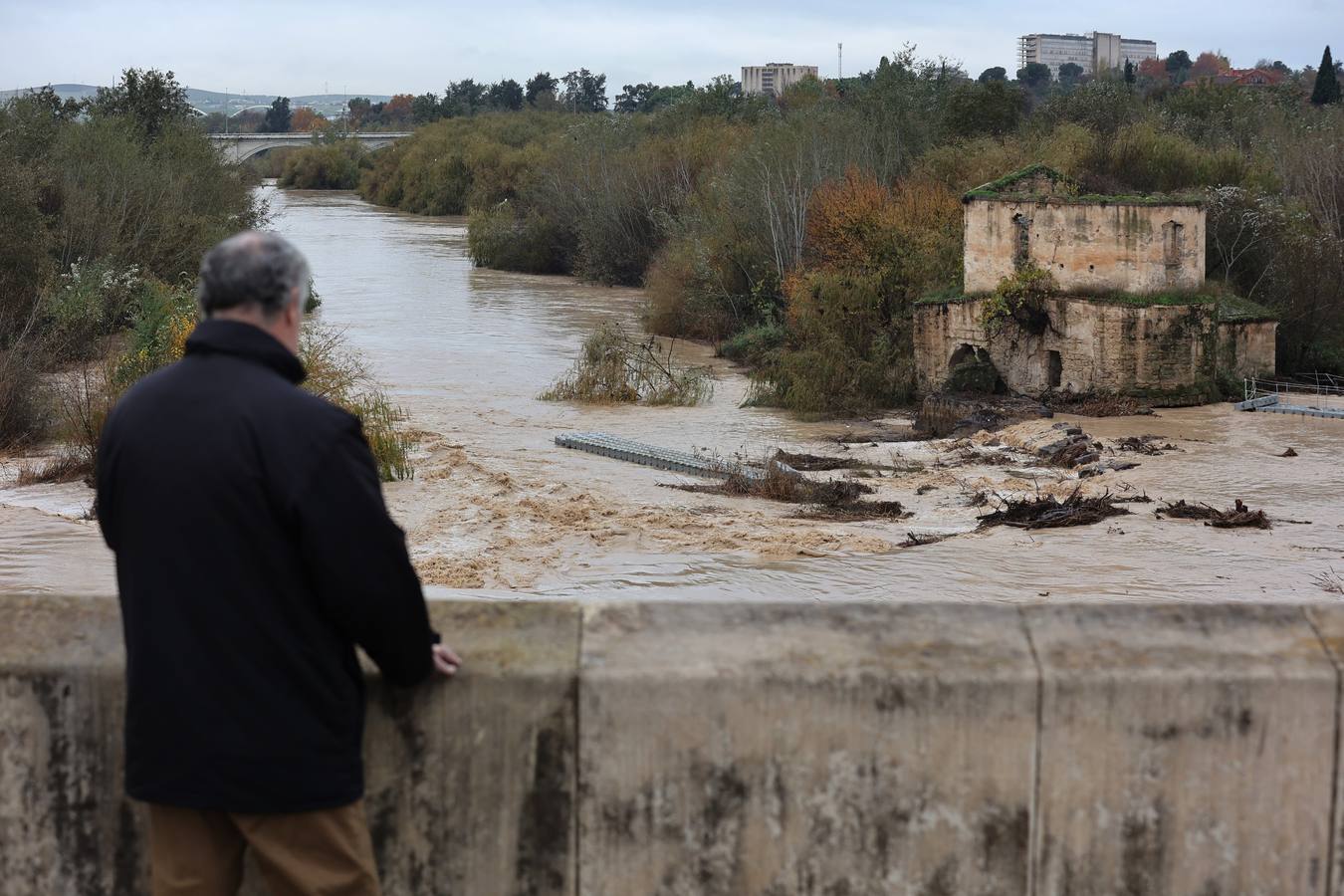 En imágenes, el Guadalquivir recupera el caudal a su paso por Córdoba