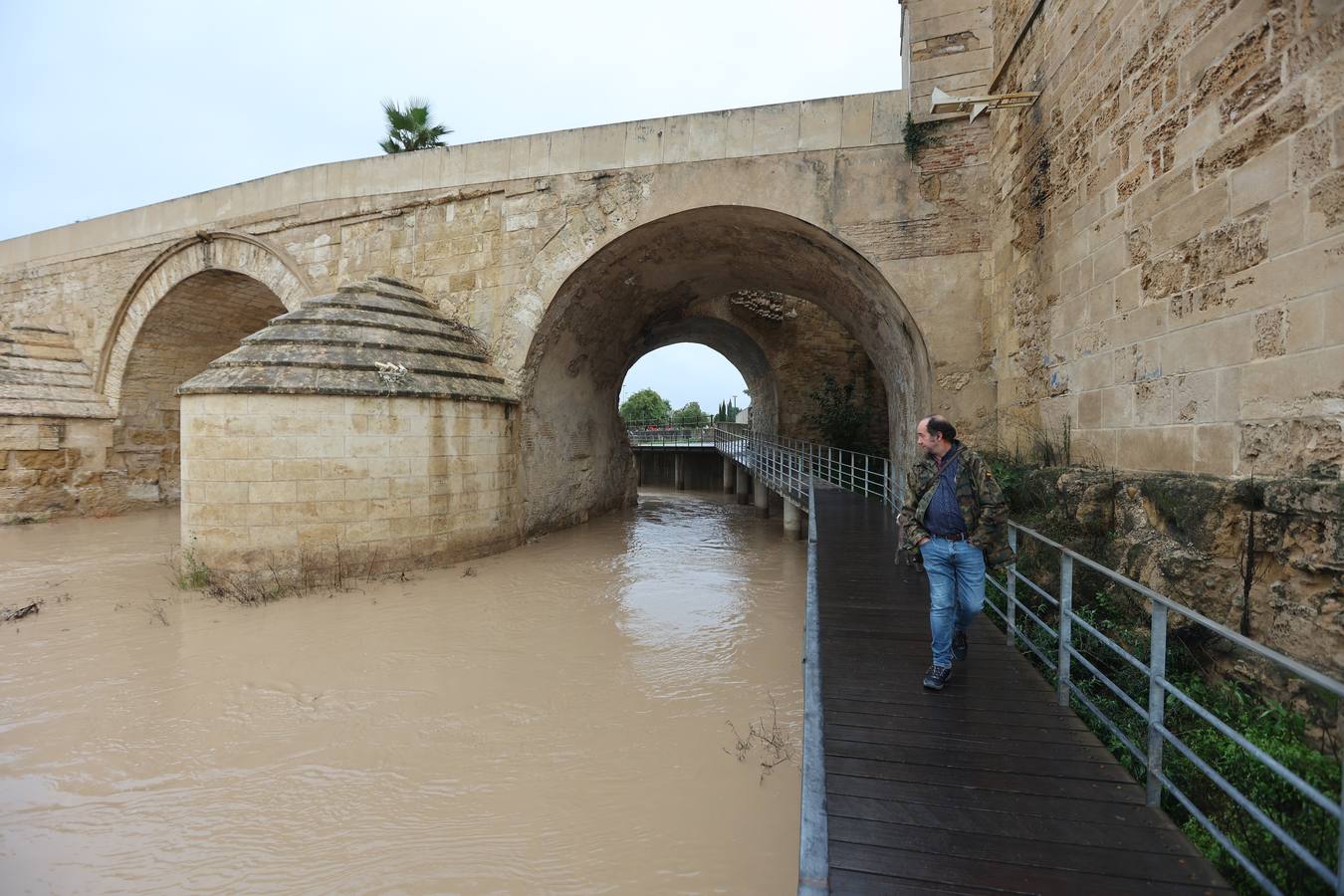 En imágenes, el Guadalquivir recupera el caudal a su paso por Córdoba