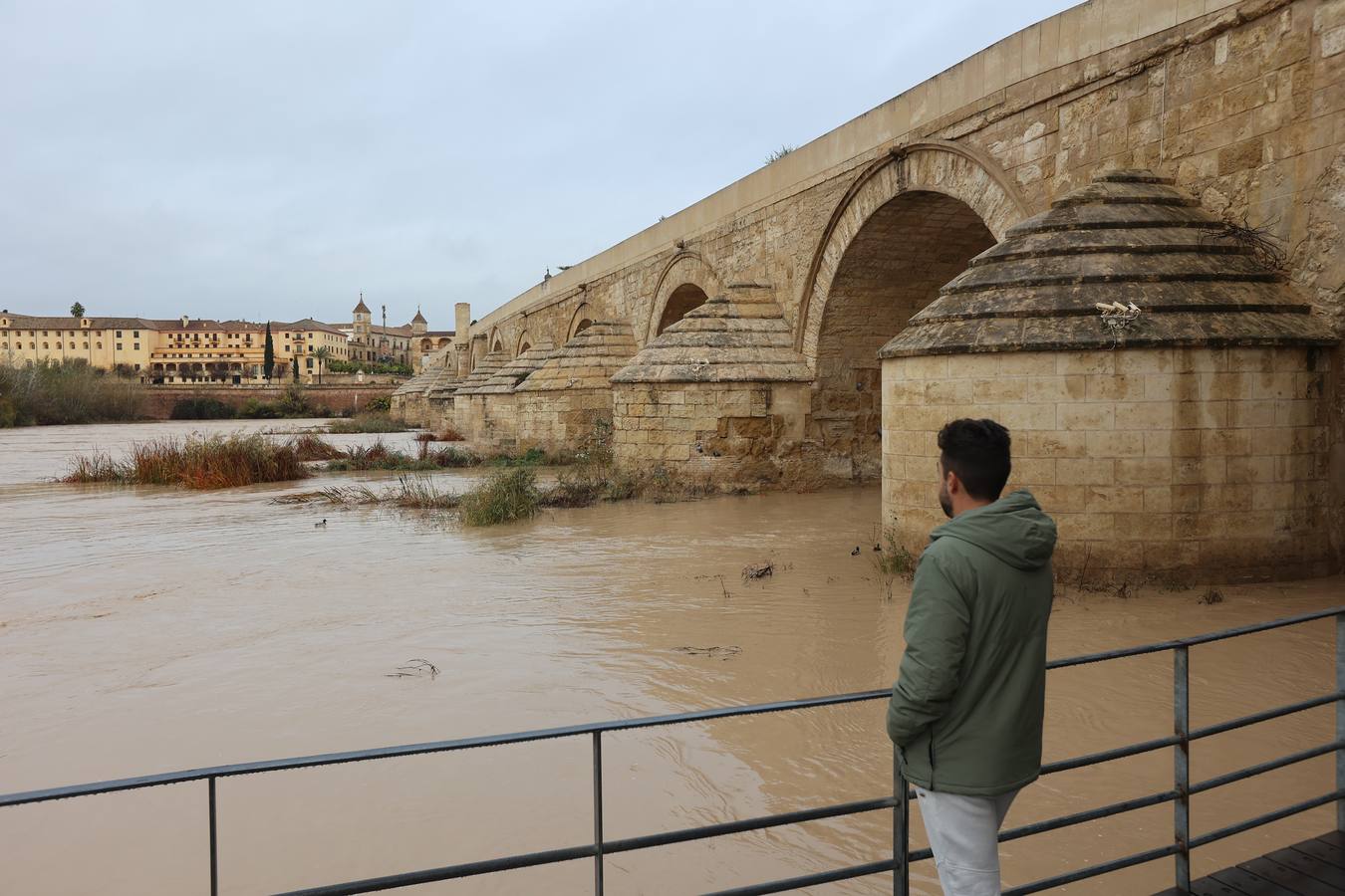 En imágenes, el Guadalquivir recupera el caudal a su paso por Córdoba