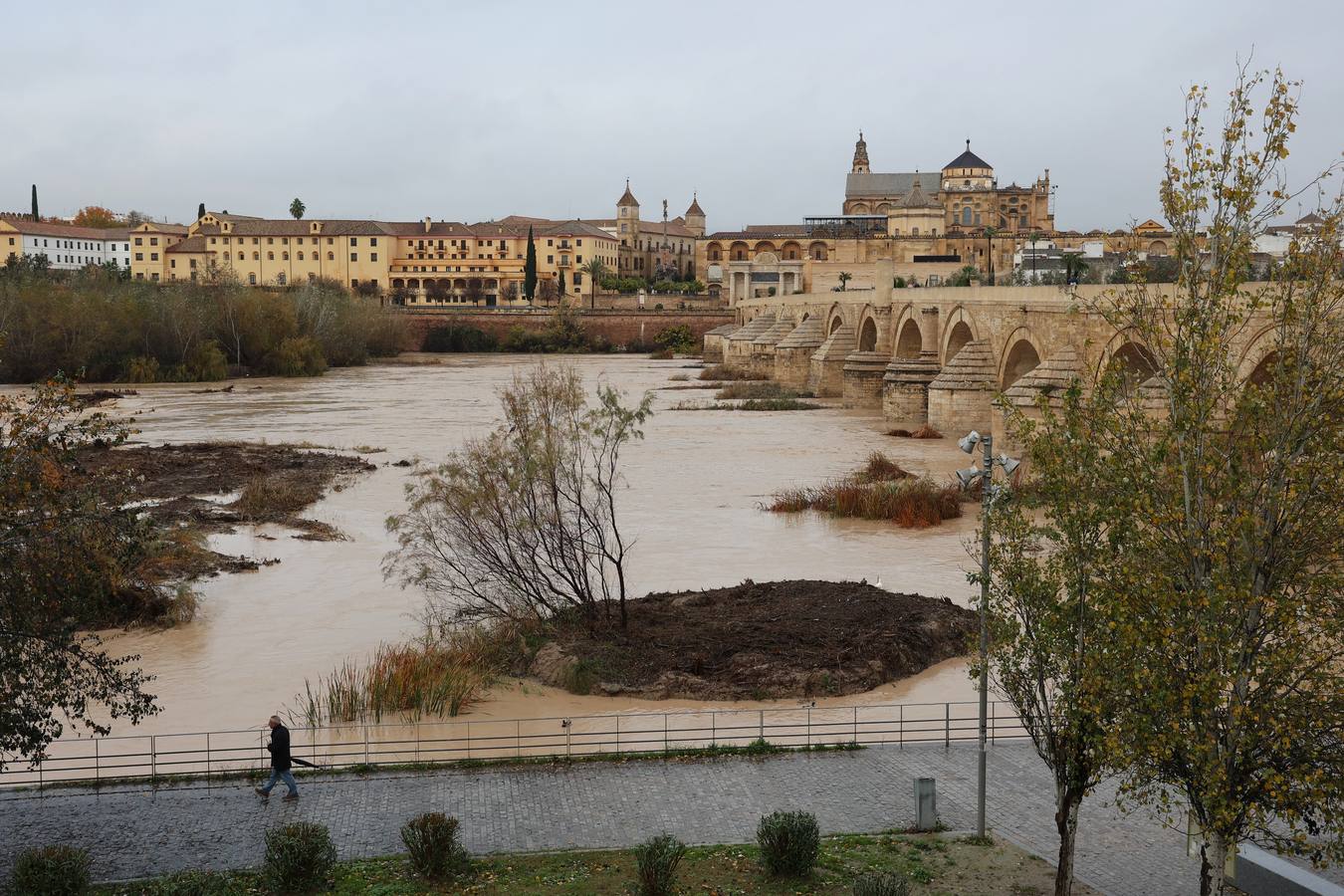 En imágenes, el Guadalquivir recupera el caudal a su paso por Córdoba