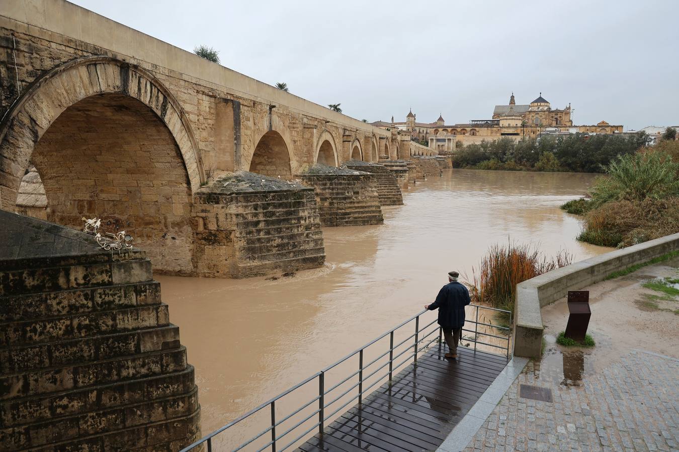 En imágenes, el Guadalquivir recupera el caudal a su paso por Córdoba